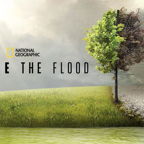 Recommendation- Before the Flood