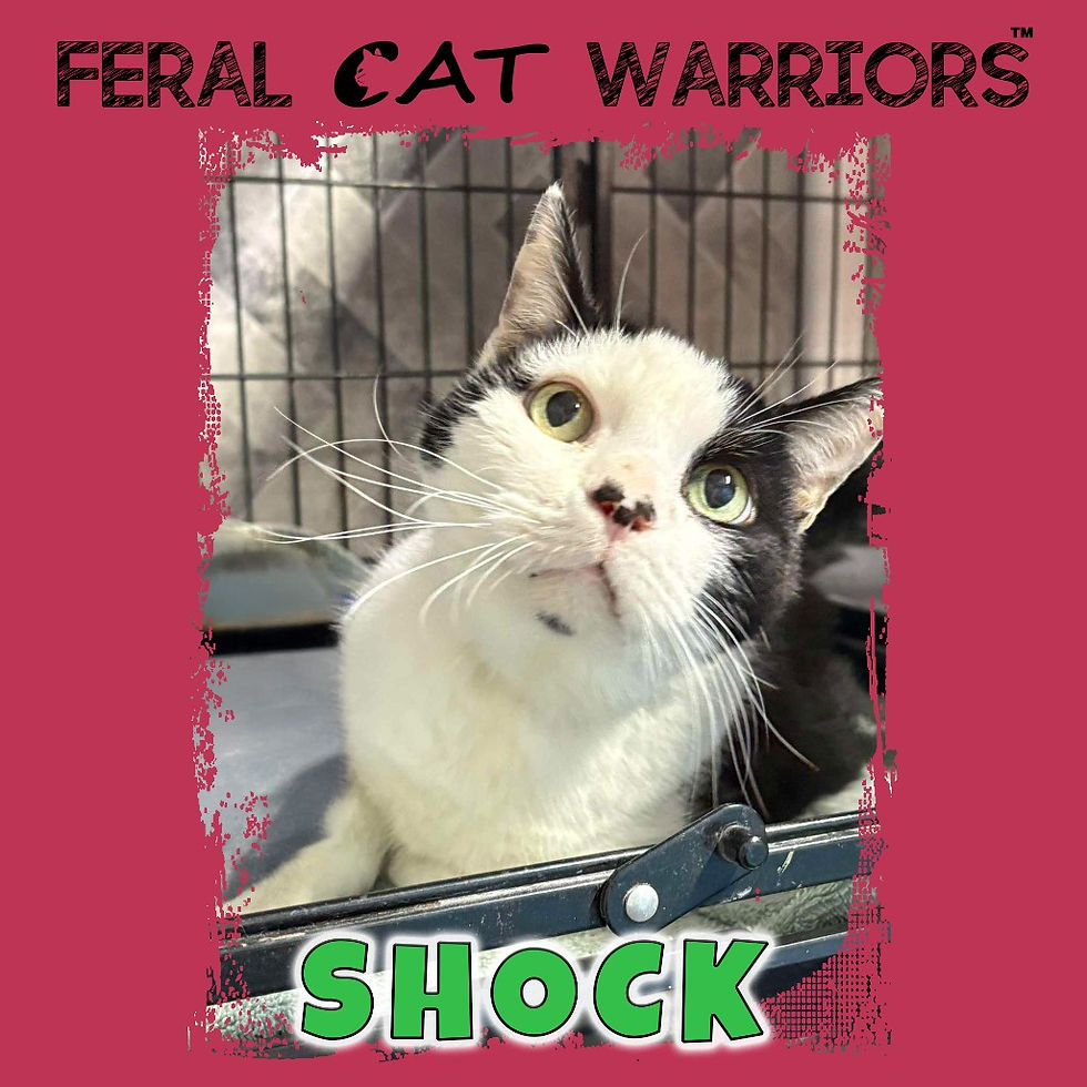 Shock