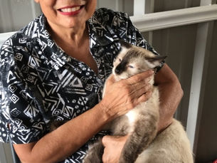 How Mrs. Magdalena is Helping Tackle Overpopulation with Pets for Life