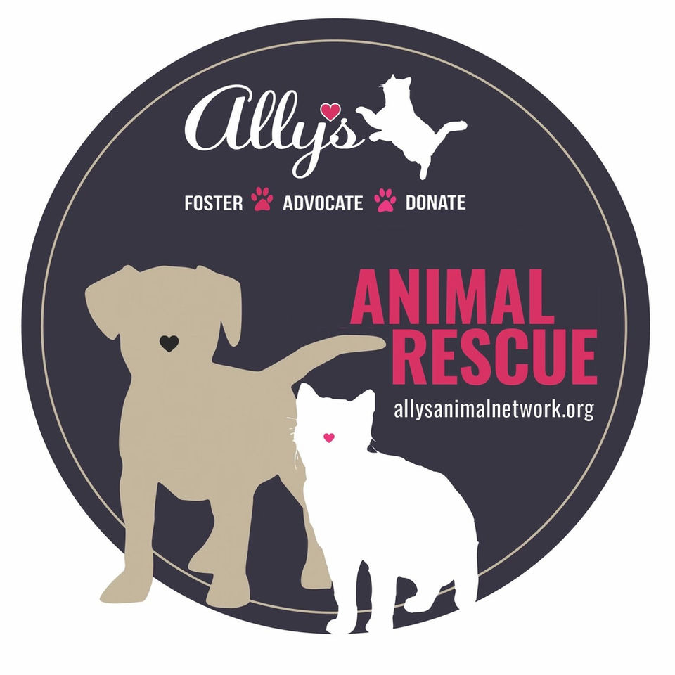 Ally's Animal Rescue logo with a dog and cat, Foster, Advocate, Donate, allysanimalnetwork.org