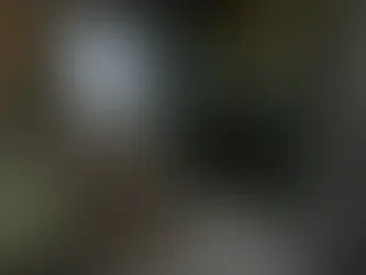 Bathroom Remodel Permit