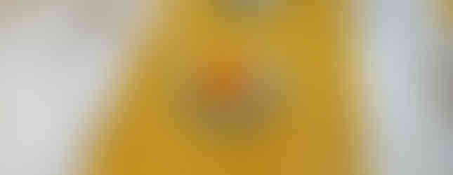 RAVIOLO NINO BERGESE