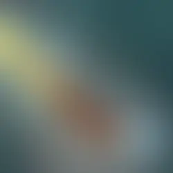 Rhizophagy: The Root of Plant Nutrition