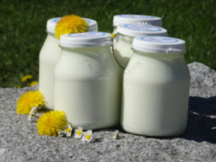 Natürliche Joghurt Cremé (Labné) aus Untervaz