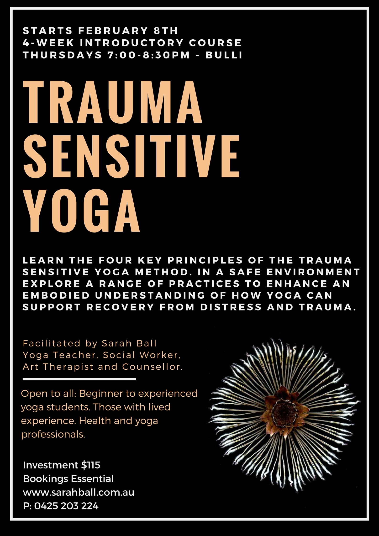 Intro to Trauma Sensitive Yoga