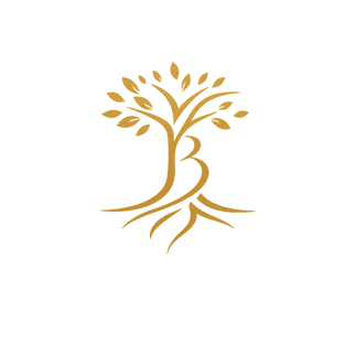 545a9206-c988-4404-b34e-a8d212ed0c6f transparent.png