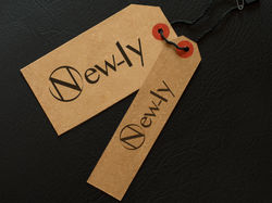 newly fashion brand