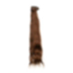 Thumbnail: Clip-in Straight Colored Hair Extension (10-Clip)| RDD (Remy Double Drawn) | #4