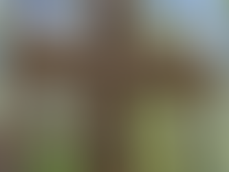 Dit is het leukste boscafé van Twente