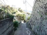 DSC01710.jpg