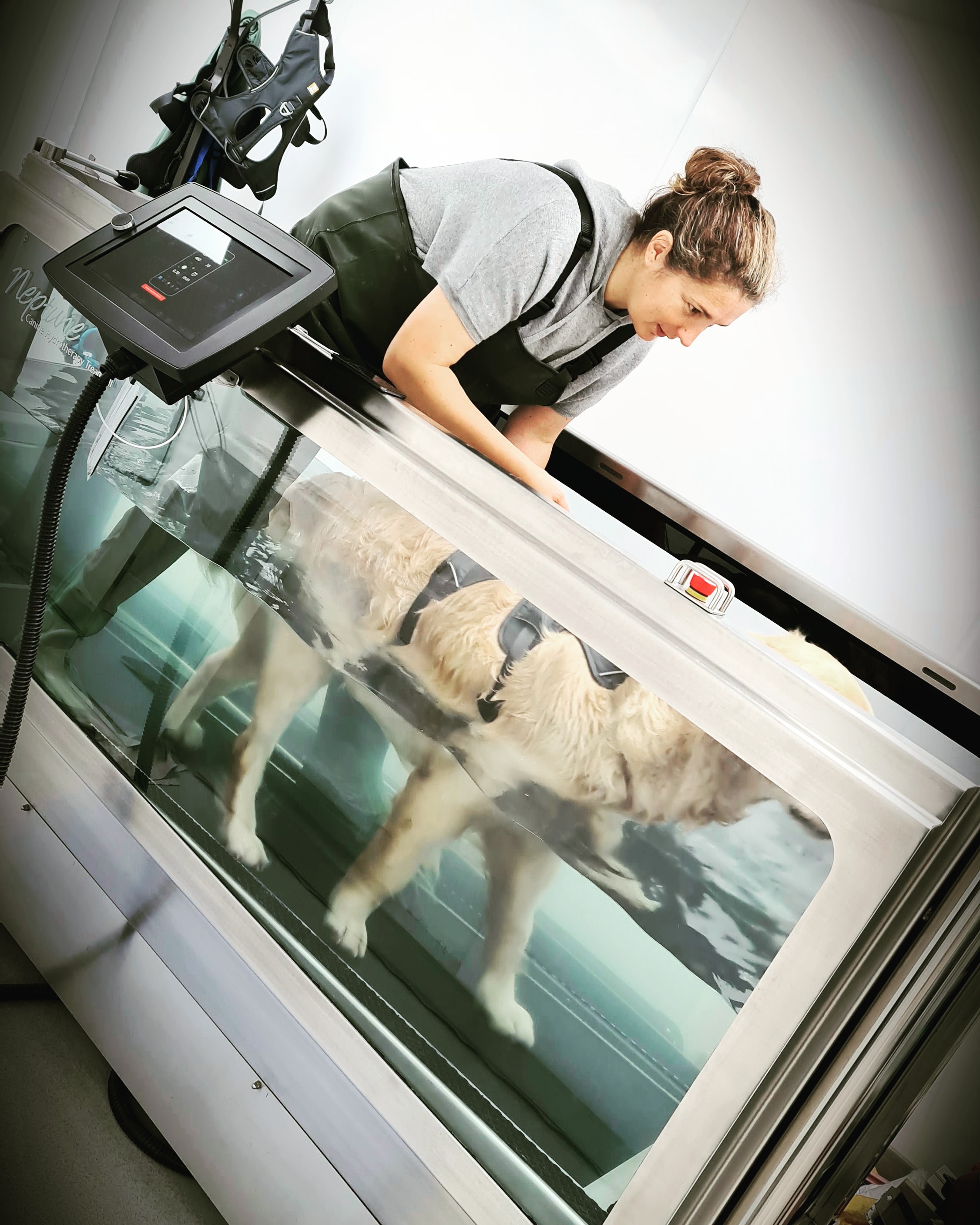 Writer: Downwarddogphysio.com 