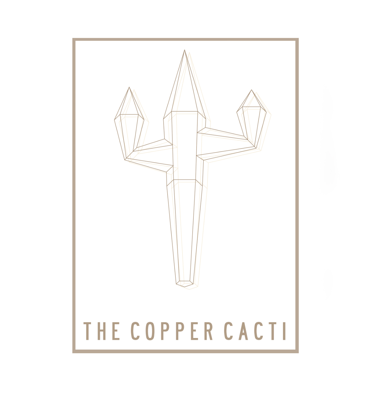 The Copper Cacti Ltd