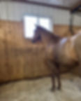 View recent photos (2)