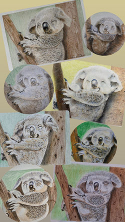 Coloured Pencils