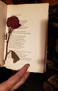 20200120_172218_edited.jpg