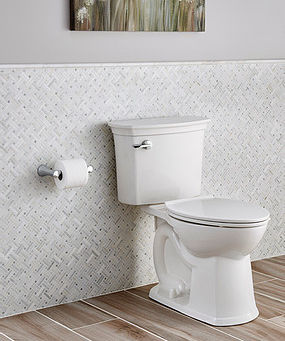 Bathroom toilet beside toilet paper