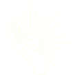 שיחה טלפונית (2).png