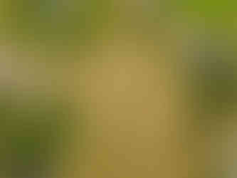 DJI_0348-HDR mini.jpg