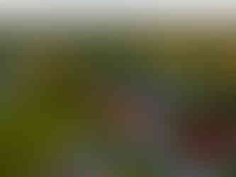 Ludowy Klub Sportowy Iskra Brzezinka w gminie Oświęcim stadion i boisko piłkarskie