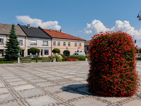 Kolumna 2-0785.jpg
