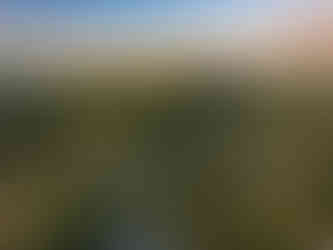 Oświęcimska 1 golden WEB.jpg