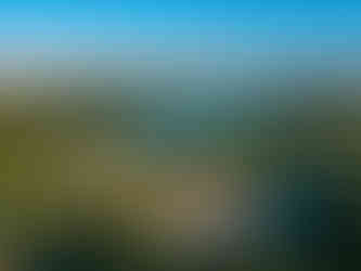 stadnina koni w Grojcu w gminie Oświęcim zabudowania i wybiegi dla koni z góry