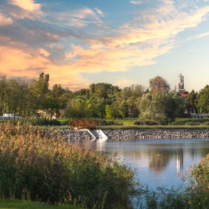 Staw Kalina Świętochłowice