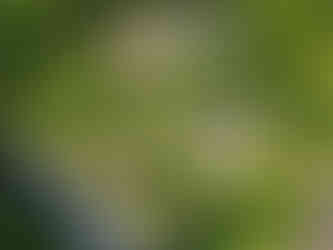 fotografia nieruchomości Wisła – działka inwestycyjna i zabudowa z lotu ptaka