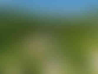 fotografia nieruchomości Wisła – nieruchomość na sprzedaż w otoczeniu natury