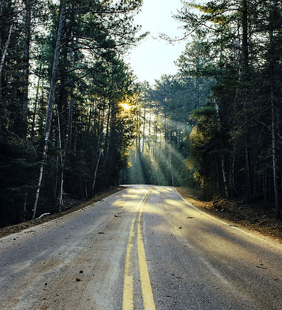 Winding Road in Forest: Journey Toward Healing from past
