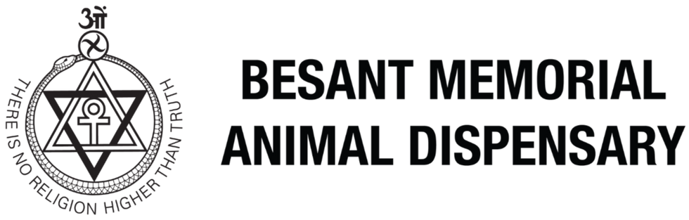 BMAD logo Horizontal.png