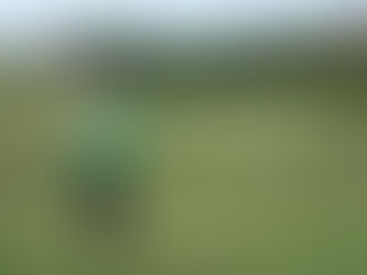 Campeonato XIRA P&P 2020