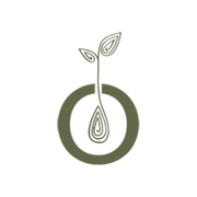 Logo de Origo