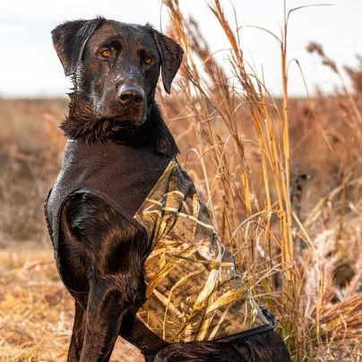 Realtree max 5 dog jacket new arrivals