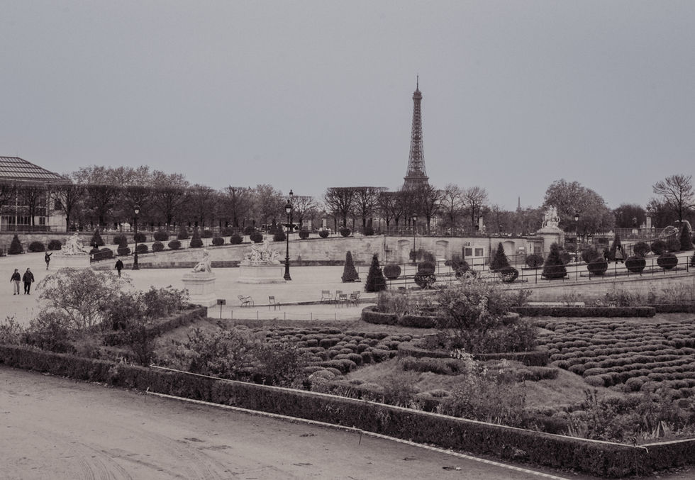 Paris - edited - Nov 2025-291