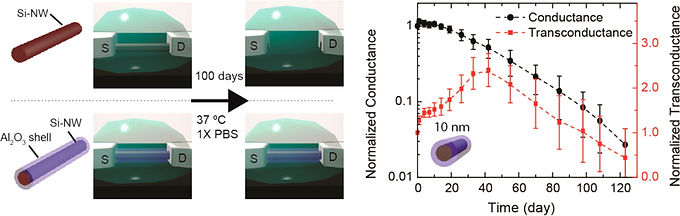 16. Long term stability of nanowire nanoelectronics in physiological environments