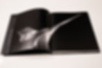 Thumbnail: Architectural Portraits - Limited Edition