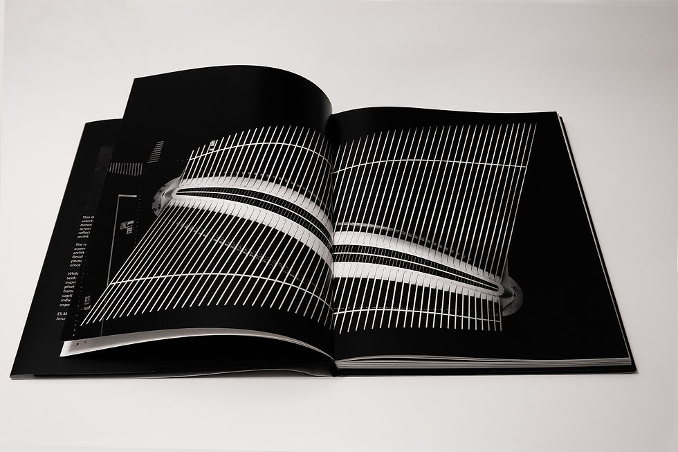 Thumbnail: Architectural Portraits - Limited Edition