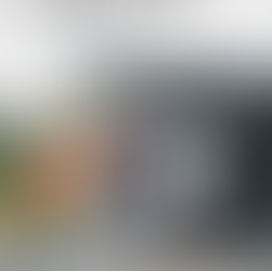 Formation IFCE : transport d'équidés