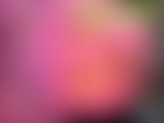 Join in the 2023 Great Southeast Pollinator Census and Make A Difference in Just 15 Minutes