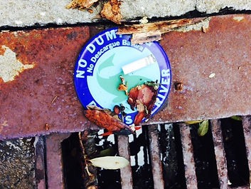 web_stormdrain1.JPG