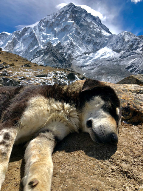 THE QUEST Series // Mt. Everest Expedition