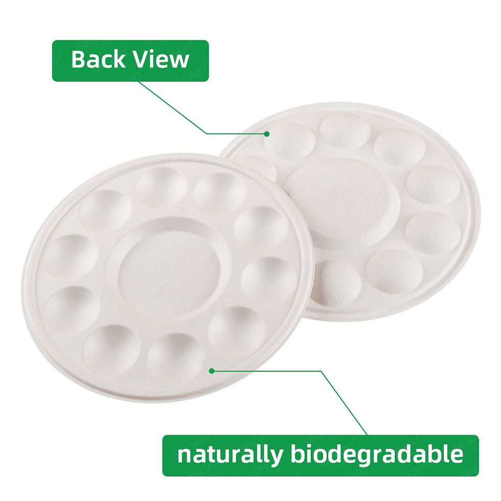 Disposable Paint Palette - 10 wells