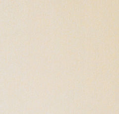 ZZ9_7334(ダイライト不燃材)_2000.jpg