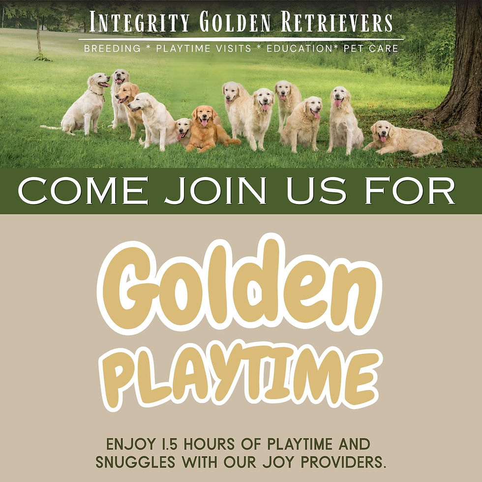 Golden Playtime with pic LOGO (1).jpg
