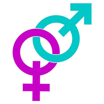 segni vettoriali maschili e femminili.jpg