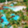 images (9)~3.jpeg