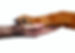 human-hand-holding-dog-paw-white-friendly-169914974.jpg
