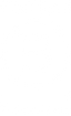 logo--white--certified-b-corporation.png