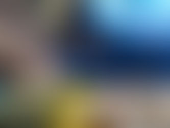 Top: Image of a researcher collecting samples from coral, Bottom left: Image of coral, Bottom middle: Image of mosquitoes in a tube, Bottom right: Image of a Hawaiian Drosophila